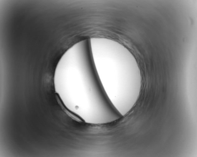 X0000088420521200706051214