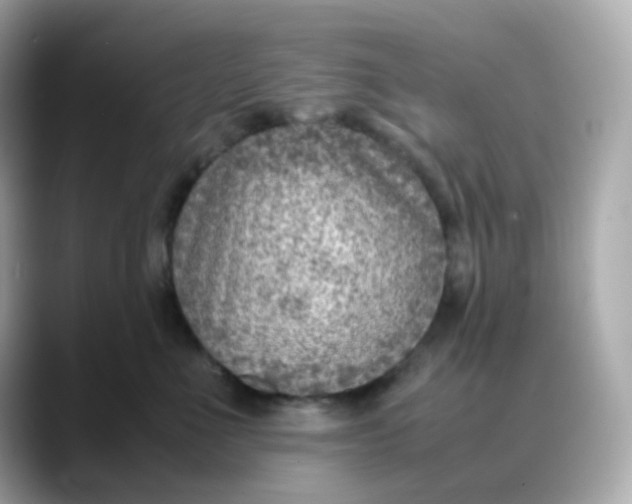 X0000088420523200706051214
