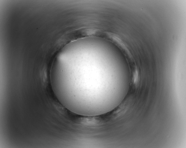 X0000088420524200706051214