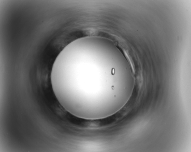 X0000088420525200706051214