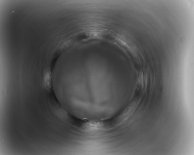X0000088420526200706051214