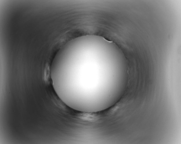 X0000088420528200706051214