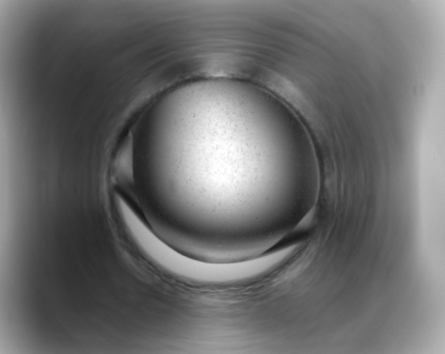X0000088420530200706051213