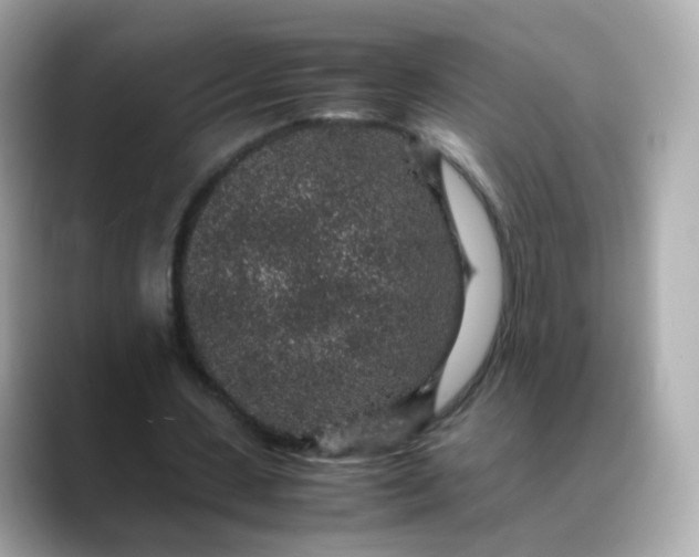 X0000088420531200706051213