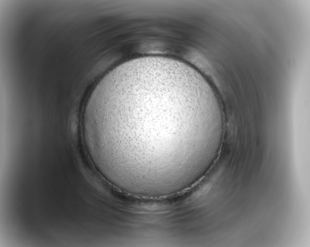 X0000088420533200706051213