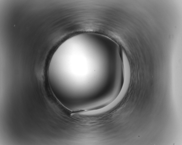 X0000088420536200706051213