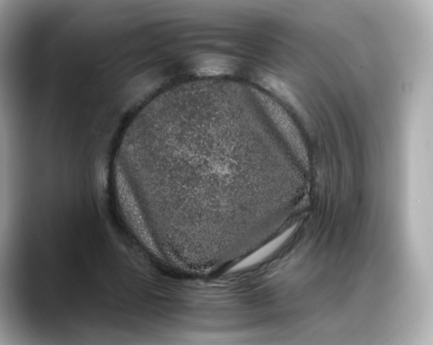 X0000088420539200706051213