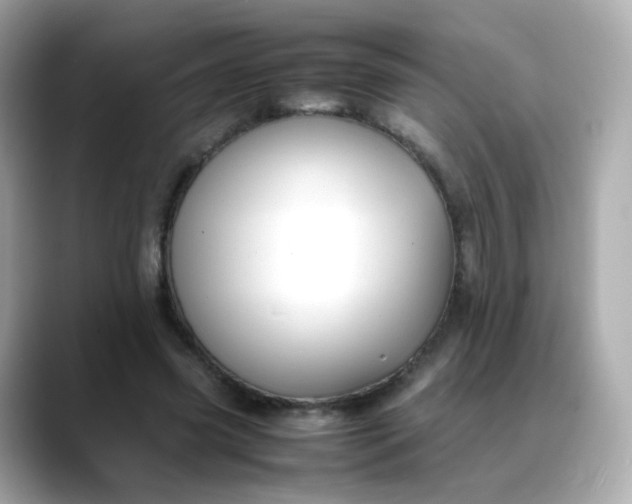 X0000088420541200706051213