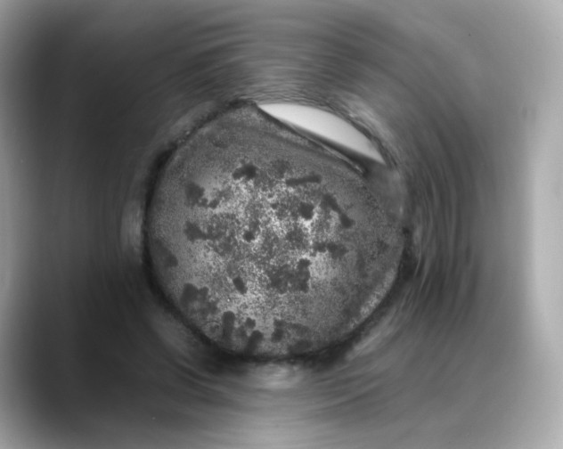 X0000088420542200706051213