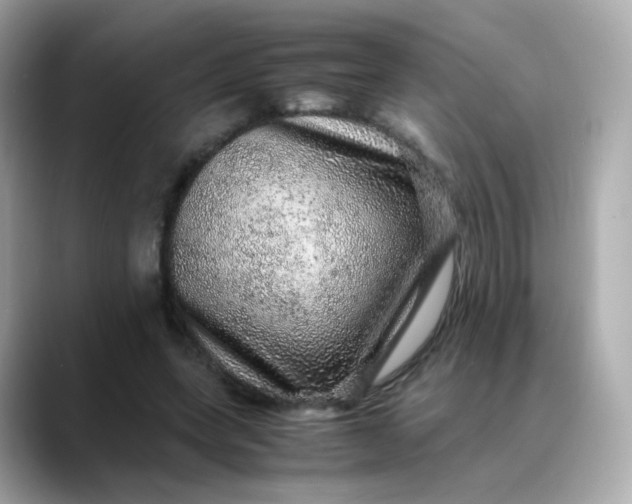 X0000088420543200706051213