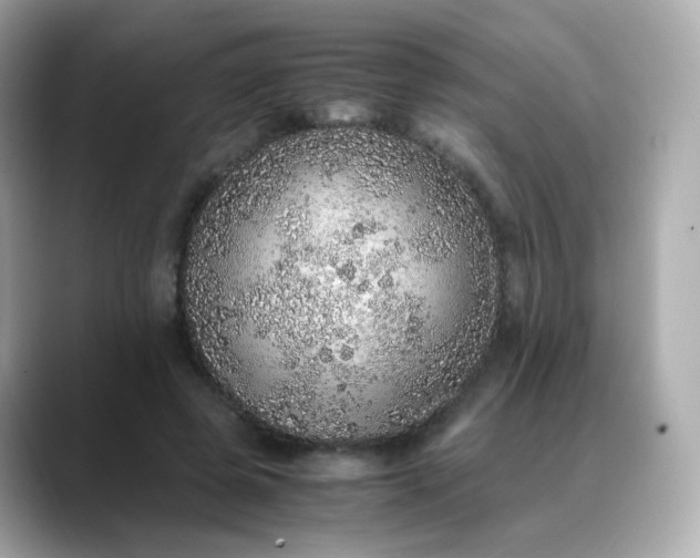 X0000088420545200706051213