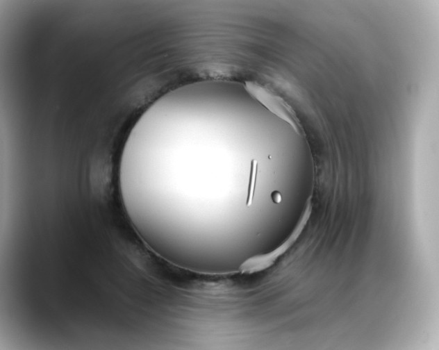 X0000088420548200706051213