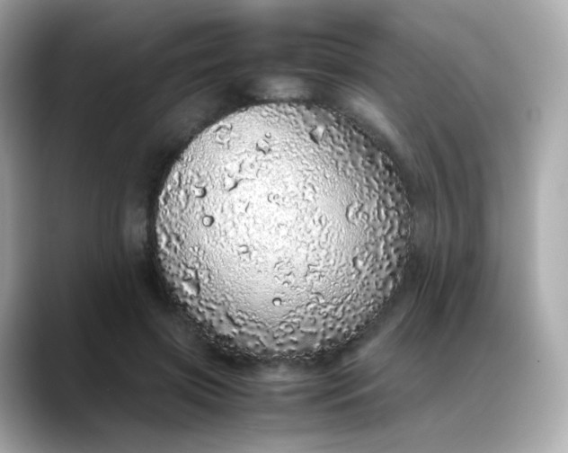 X0000088420549200706051213