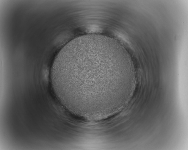 X0000088420550200706051213