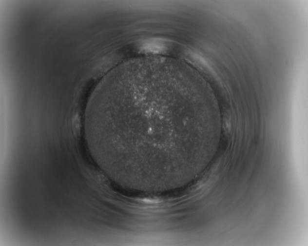 X0000088420551200706051213