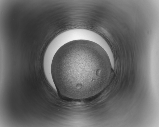 X0000088420552200706051213