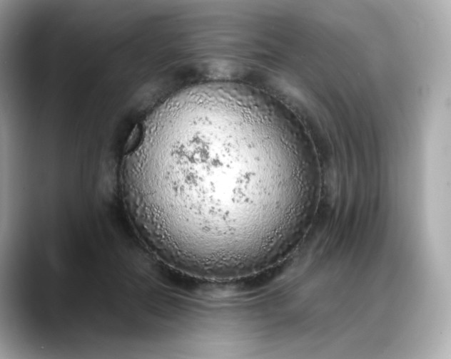 X0000088420554200706051213