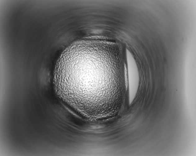 X0000088420555200706051213