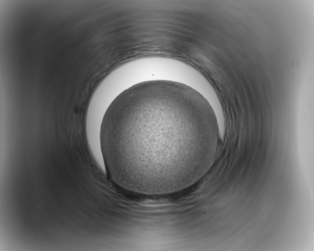 X0000088420556200706051213