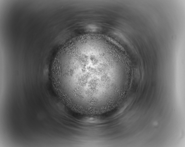 X0000088420557200706051213
