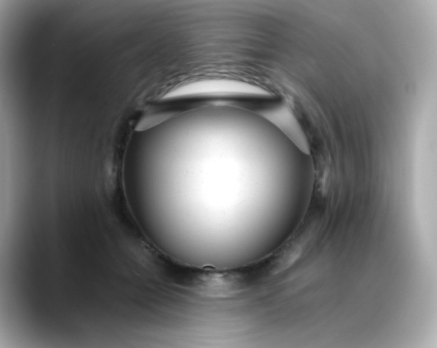 X0000088420558200706051213