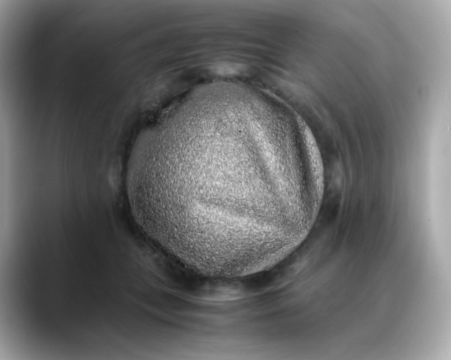 X0000088420559200706051213