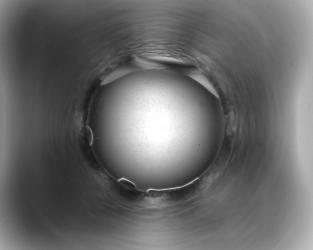 X0000088420560200706051213