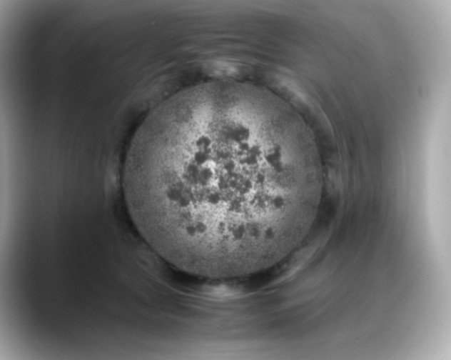 X0000088420561200706051213