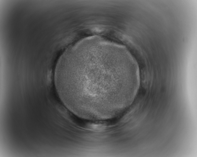 X0000088420563200706051214