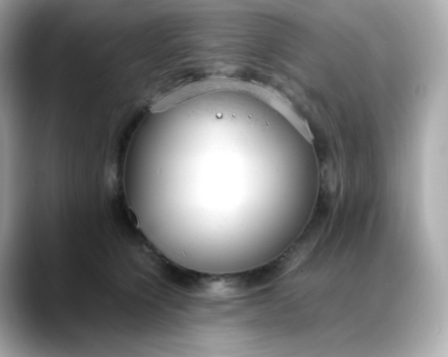X0000088420564200706051214