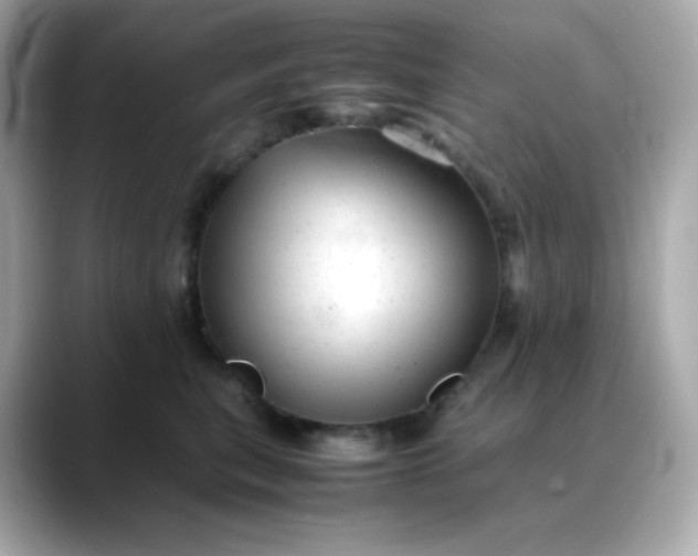 X0000088420567200706051214