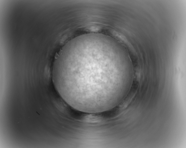 X0000088420568200706051214