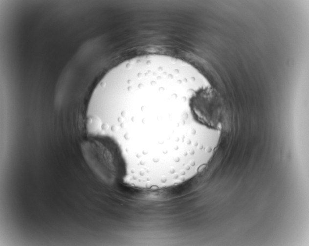 X0000088420569200706051214