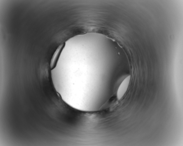 X0000088420570200706051214