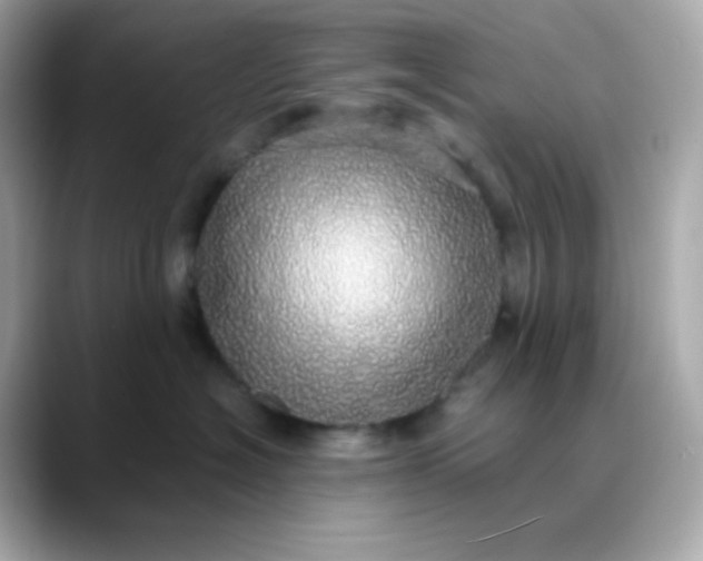 X0000088420574200706051214