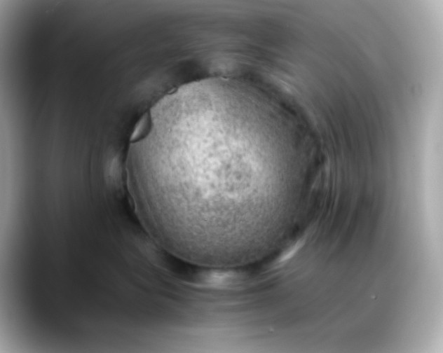 X0000088420575200706051214