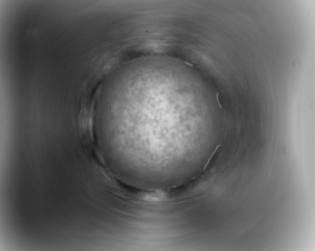 X0000088420576200706051214