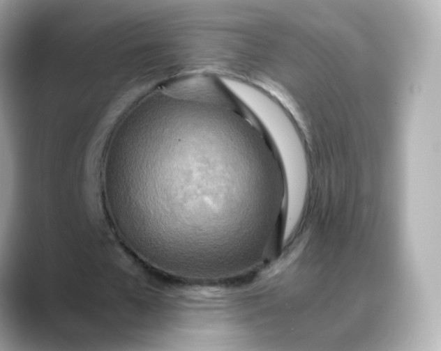 X0000088420577200706051213