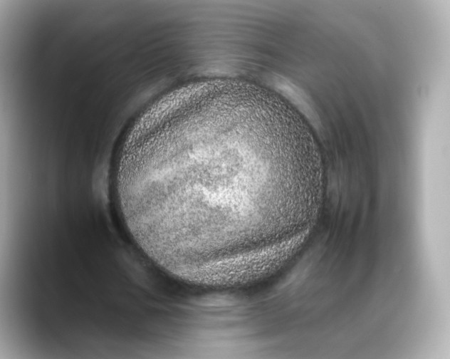 X0000088420578200706051213