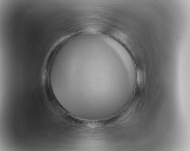 X0000088420579200706051213