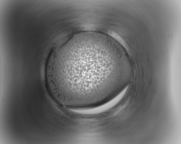 X0000088420581200706051213