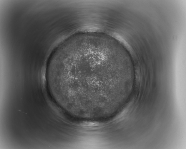 X0000088420582200706051213