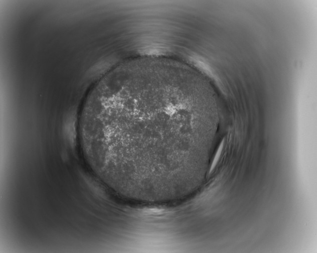 X0000088420586200706051213
