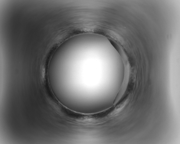 X0000088420589200706051213