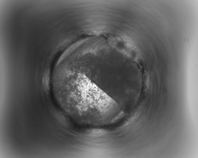 X0000088420590200706051213