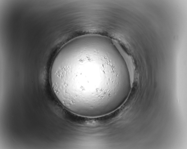 X0000088420591200706051213