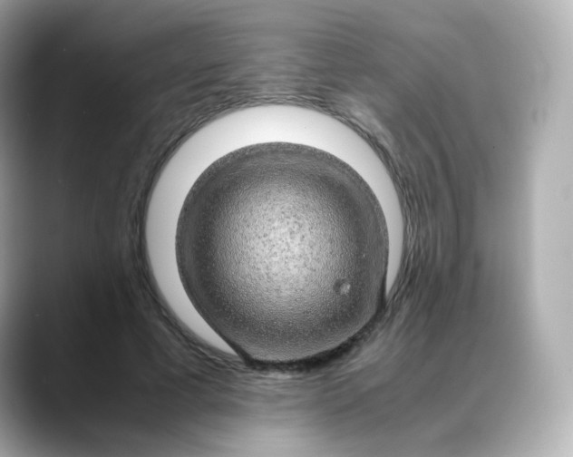 X0000088420593200706051213
