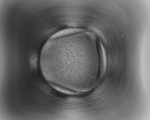 X0000088420596200706051213
