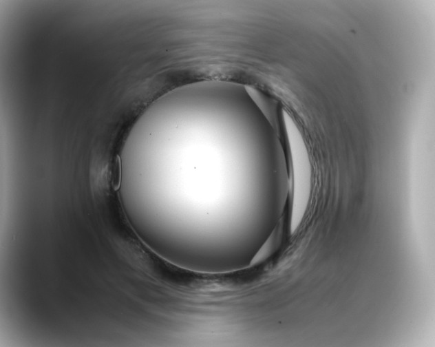 X0000088420597200706051213