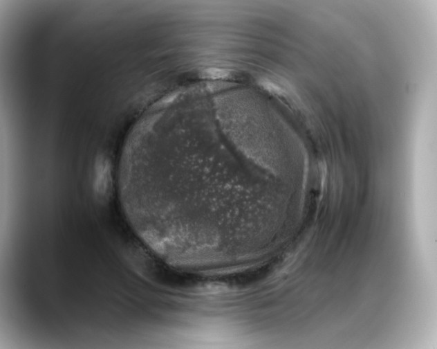 X0000088420598200706051213